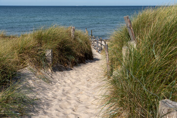 Fototapeta na wymiar Dünen mit Strandgras am weißen Strand der Ostsee im Nationalparks Vorpommersche Boddenlandschaft Fischland Zingst Darß, Mecklenburg-Vorpommern