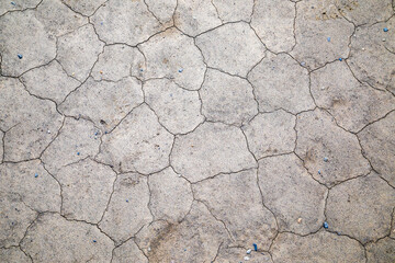 Cracked mud from lack of water, drought
