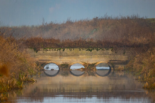 Bridge over a stream in the Polish countryside.
