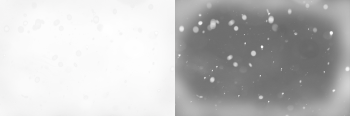 Falling snow isolated on transparent background. Heavy light snowfall, snowflakes Snow flakes, snow background. Bokeh lights png