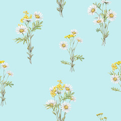 Seamless pattern Watercolor Daisy and tansy. Hand drawn illustration of Chamomile. bouquet of white blossom flowers on isolated background. Drawing botanical clipart invitation cards. Paint wildflower