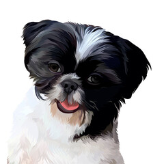 dog vector illustration realistic transparent background