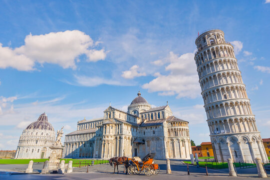 Horse on square in Pisa