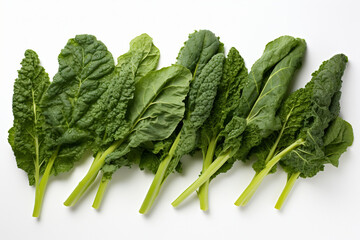 A series of evenly spaced kale leaves, each with its unique texture, presented in a minimalist arrangement on a clean surface.