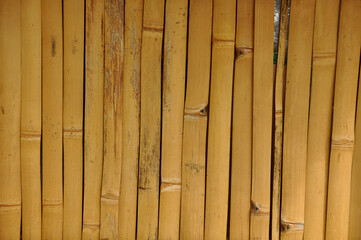 parede de bambu 