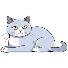 British Shorthair cat lying on white table Looking at Banner
