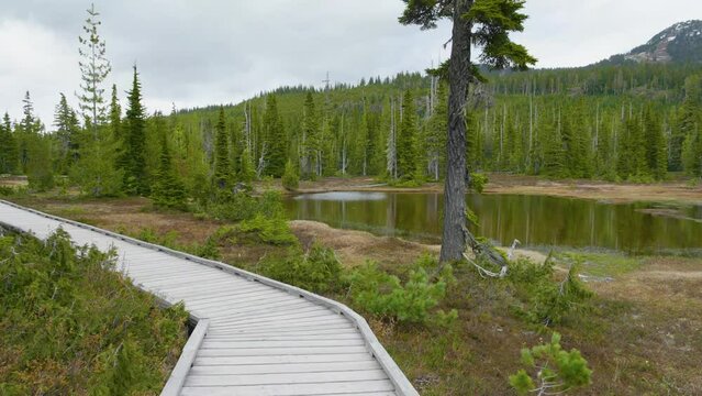 Wooden Pathway, Paradise Meadows Hike, Forbidden Plateau, Mount Washington Ski Area, Strathcona Provincial Park, Comox Valley Regional District, Vancouver Island, Canada. 