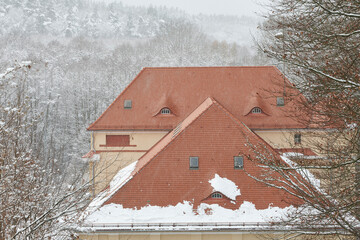 Dachy pokryte czerwoną dachówką na tle ośnieżonego lasu. Zima, mróz i śnieg. - obrazy, fototapety, plakaty