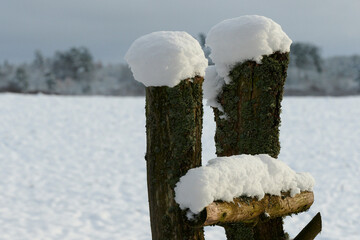 Czapy śniegu na drzewach, choinkach, drewnianym płocie. Krajobraz zimowy, mróz i biały śnieżny puch.
