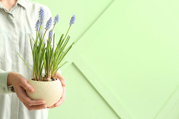 Woman holding vase with beautiful Muscari flowers near green wall