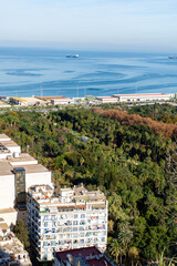 High-angle view of Botanical Garden Hamma in Algiers City. Algeria.
