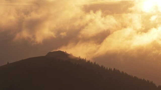 Golden misty clouds motion fast over forest mountain in autumn nature