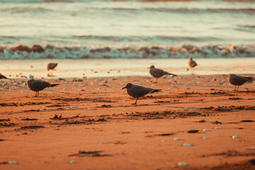 Atardecer en la playa