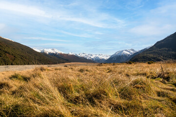 Rural grassland scenery of Arthurs pass one of the main alpine passes through the Southern alps