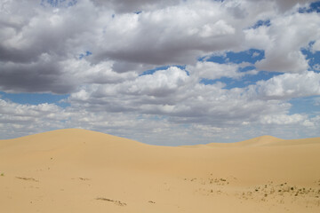 Tuyesu dunes landscape, Senek, Kazakhstan