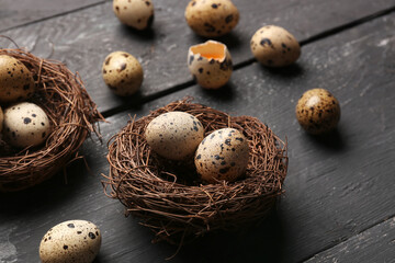 Nests with fresh quail eggs on dark wooden background