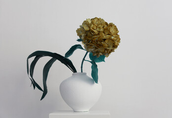 Beige brown hydrangea flower in white vase on gray wall. Minimalist still life.