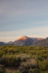 Fototapeta premium Sierra Mountain Sunrise - 2