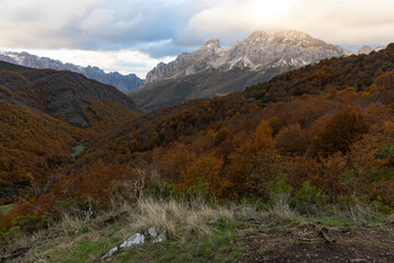 Landscape of Picos de Europa National Park in atumn with peaks and bright forest leaves