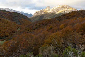 Picos de Europa National park landscape during autumn with colorful foliage leaves and bright mountain ridge