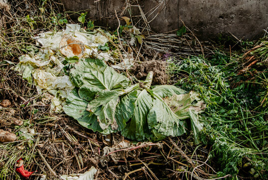 Compost pit for food waste. Concept of organic fertilizers for garden.