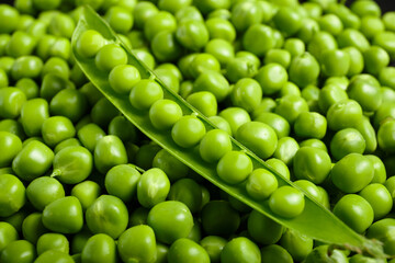 An open pod of fresh green peas lies on pea grains, top view. Background of sweet green peas.