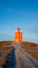 Iceland, lighthouse, icelandic horses
 - obrazy, fototapety, plakaty
