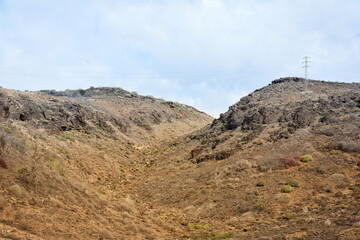 semi dessert on Gran Canaria