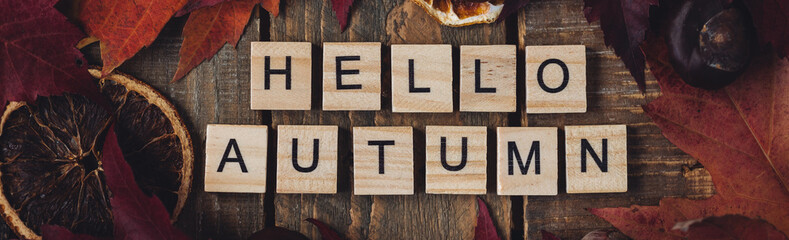 Hello autumn text on dark wooden background. Composition with bright autumn leaves, pumpkin, dry citrus, walnut. Cozy fall mood concept. Flat lay, close up, top view, macro banner