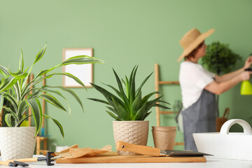 White table with houseplants and gardening tools in cozy green room