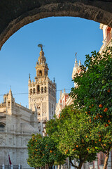 Seville Cathedral, Spain. - obrazy, fototapety, plakaty