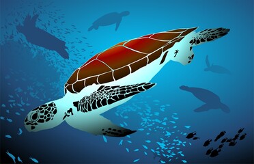 tortugas, animal marino, siluetas, debajo del mar
