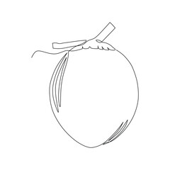 Continuous one line drawing of coconut fruit on white background. Vector illustration