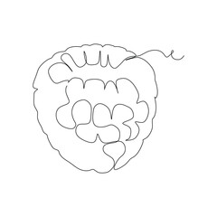 Continuous single line drawing of raspberry on white background. Linear stylized.