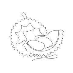 Continuous one line drawing of durian fruit. Vector illustration.