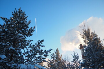 Smoke from factory chimney. Ecological pollution. Air emissions polluting forest. Industrial waste....