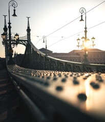 Iconic bridge of Budapest, Liberty Bridge in the morning