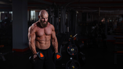 Fototapeta na wymiar Muscular shirtless man doing exercises with dumbbells in the gym.