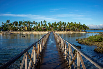 Fototapeta na wymiar Gateway to Paradise: Wooden Pier Leading to a Palm-Fringed Shoreline