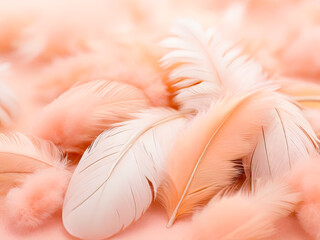 Gentle feather soft light background.