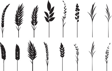 Set of minimalistic flat design wheat silhouettes. Hand drawn vector illustration