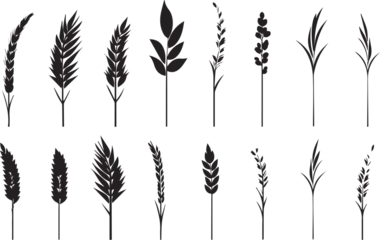 Tuinposter Set of minimalistic flat design wheat silhouettes. Hand drawn vector illustration © Михаил Н