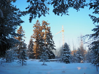 Creation of a new property in a deserted place, far from the city center. Pine winter forest. Lifting construction crane against the blue sky. The city's attack on the forest and nature. Ecology
