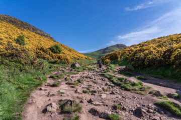 Holyrood Park walking trail