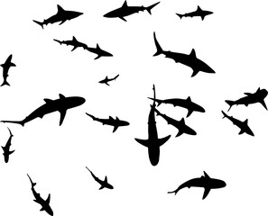 tiburon martillo, pescado, siluetas, tiburon, pegatina, pez vela,  - obrazy, fototapety, plakaty