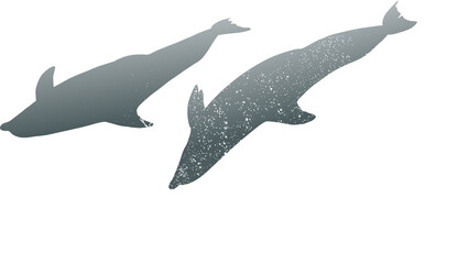delfines, oceano, vector, splash, salto