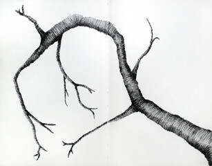Artistic drawing of branche in black ink on white pages