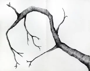 Papier Peint photo Surréalisme Artistic drawing of branche in black ink on white pages