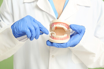 Male dentist with plastic jaw model and floss toothpick on green background, closeup