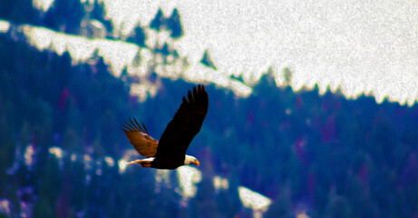 Eagle Flying or Soaring Freedom (filtered photo) - Veterans Day, Memorial Day, Independence National Bird of the United States of America, One Nation Under God, Patriotic, Patriotic Publication